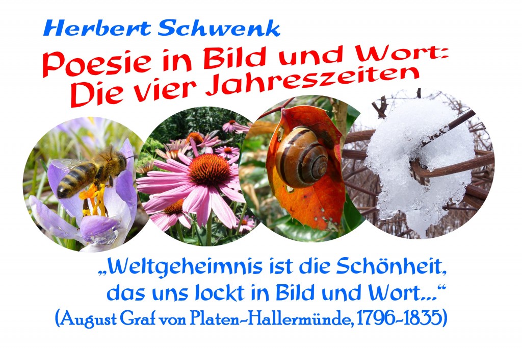 4 Bilder 1 Wort Lösung 212