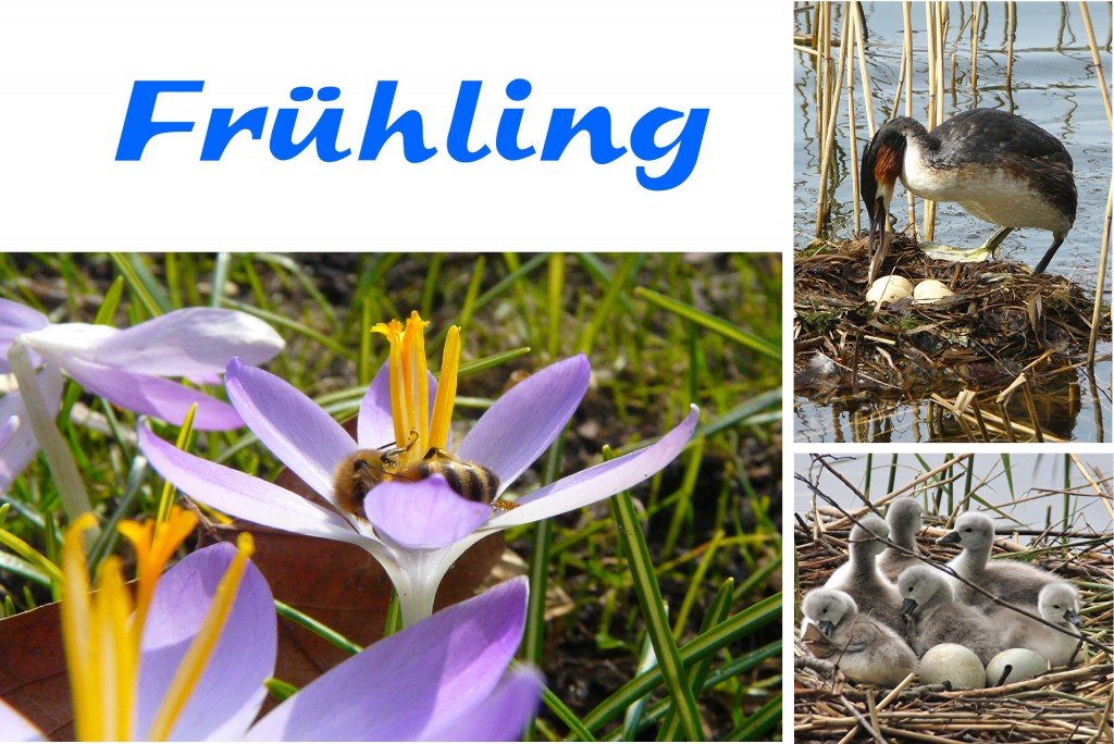 4 Bilder 1 Wort Lösung 212