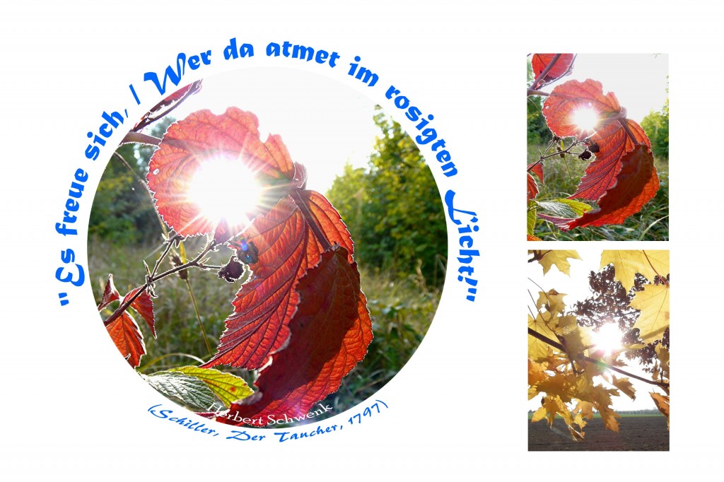 4 Bilder 1 Wort Lösung 212