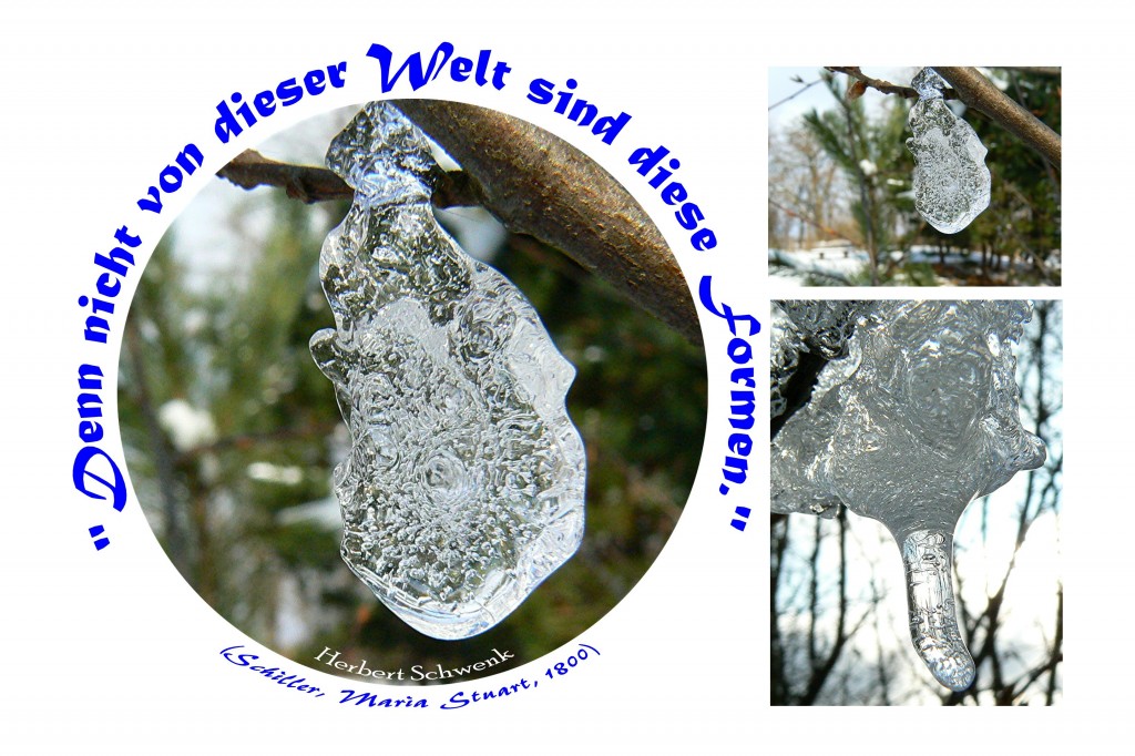 4 Bilder 1 Wort Lösung 212