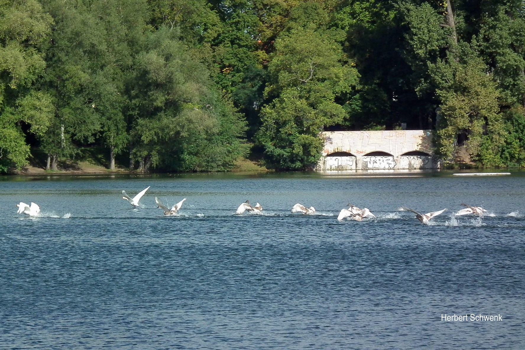 Flugübungen