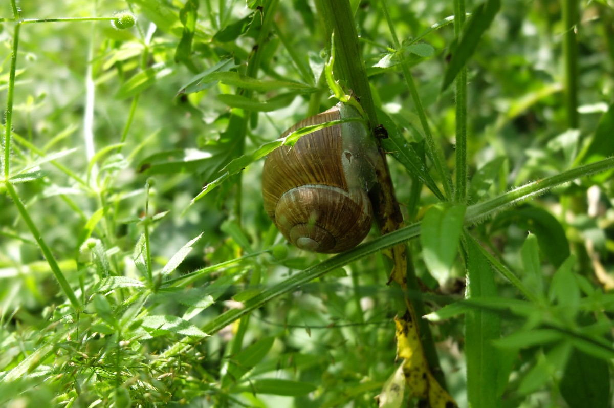 13-DSCF0406
