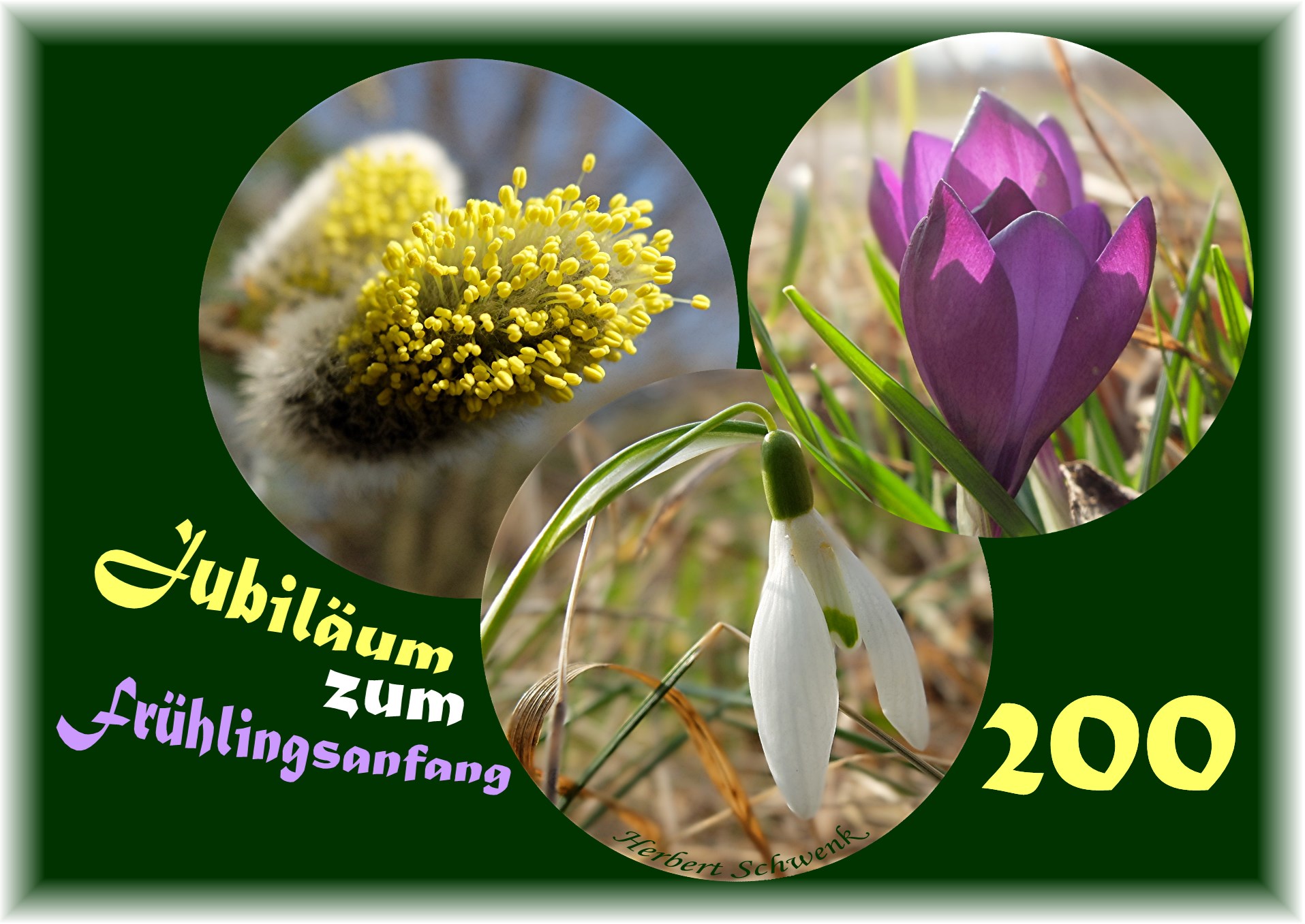 Jubilaum Zum Fruhlingsanfang Natur In Bild Und Wort